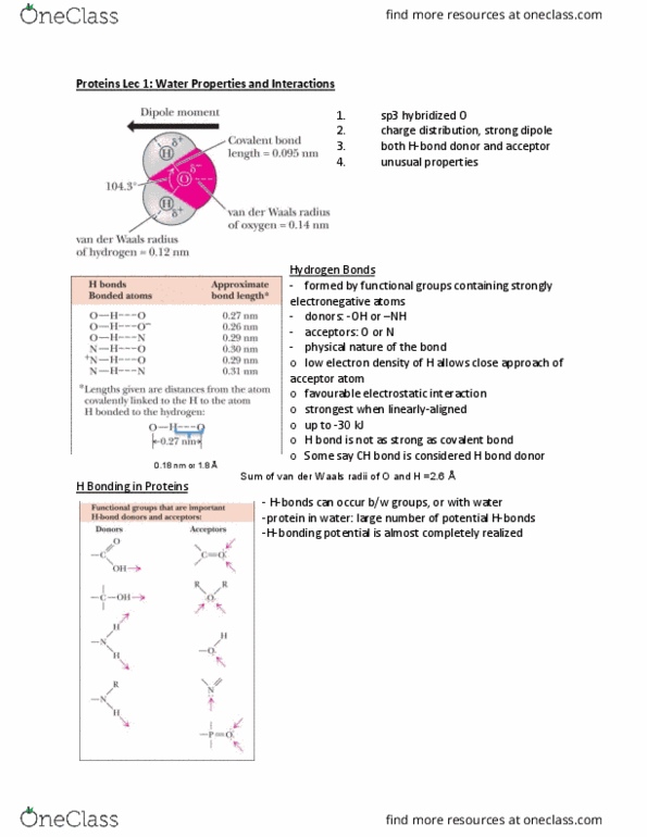 Biochemistry 3381A Lecture Notes - Lecture 1: Van Der Waals Force, Covalent Bond, Bond Length thumbnail