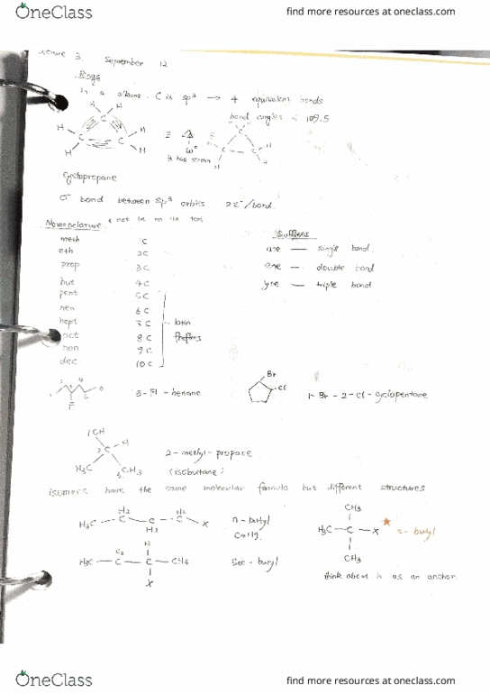 CHM242H5 Lecture Notes - Lecture 3: Cyclopentane, Isobutane, Cyclopropane thumbnail
