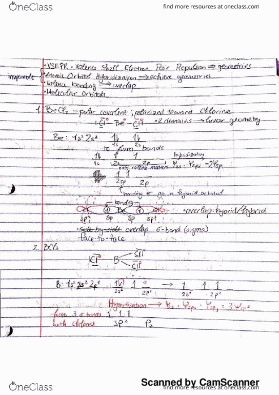 BIOL 084 Lecture 29: new doc 1 thumbnail