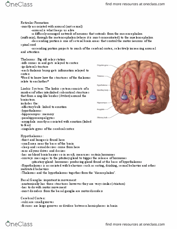 01:830:310 Lecture Notes - Lecture 7: Cingulate Cortex, Parahippocampal Gyrus, Olfactory Bulb thumbnail