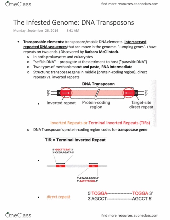 BIOL 200 Lecture Notes - Lecture 9: Inverted Repeat, Selfish Dna, Transposable Element thumbnail