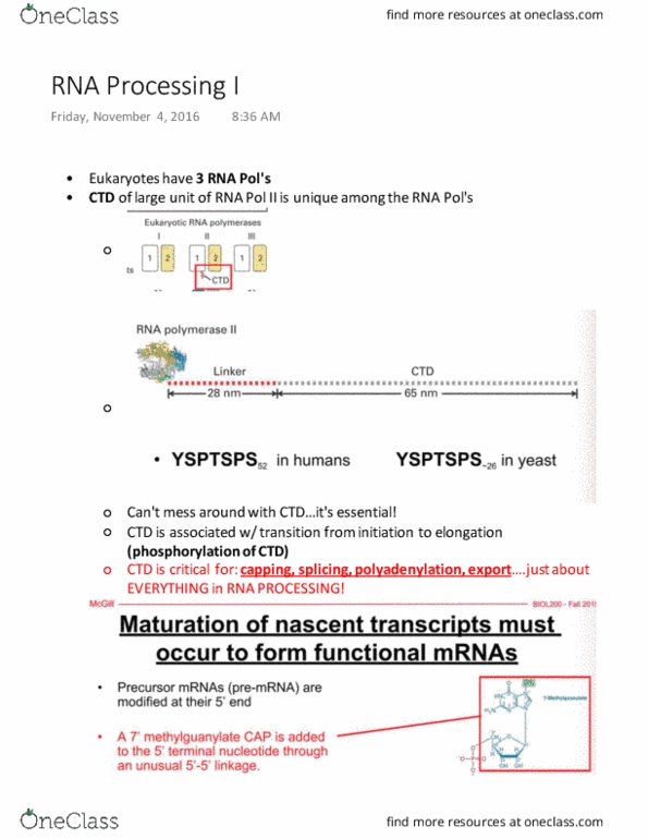 BIOL 200 Lecture Notes - Lecture 22: 65-Nanometer Process, Branch Point, Ribose thumbnail