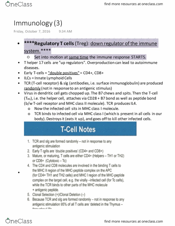 PHGY 209 Lecture Notes - Lecture 11: Innate Lymphoid Cell, T Helper Cell, Cd28 thumbnail