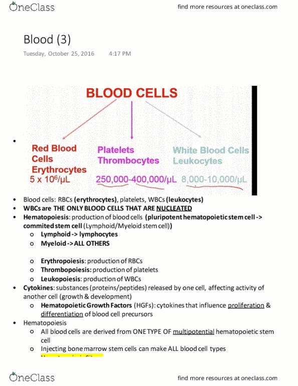 PHGY 209 Lecture Notes - Lecture 8: Hematopoietic Stem Cell, Yolk Sac, Jelly Doughnut thumbnail