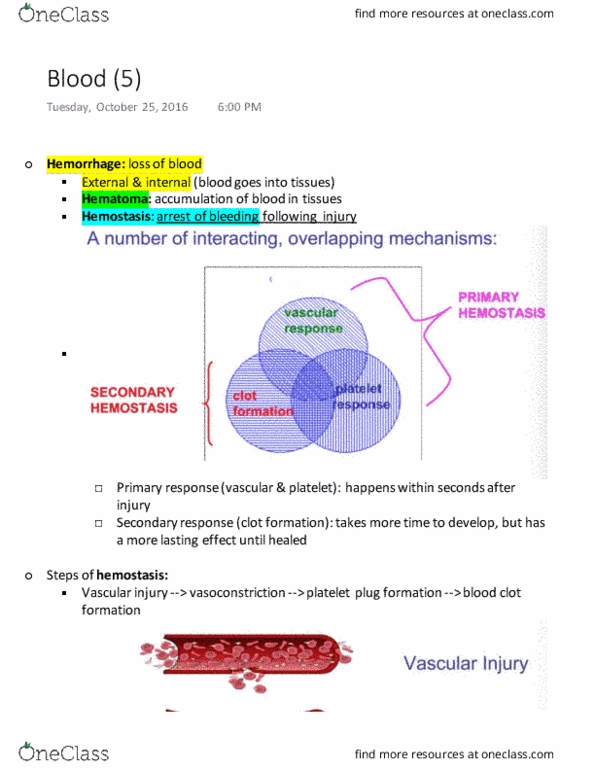 PHGY 209 Lecture Notes - Lecture 10: Thromboxane A2, Thrombopoietin, Hemostasis thumbnail