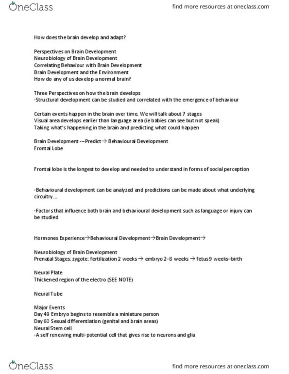 PSY 2301 Lecture Notes - Lecture 12: Neurotrophic Factors, Progenitor Cell, Synaptic Pruning thumbnail