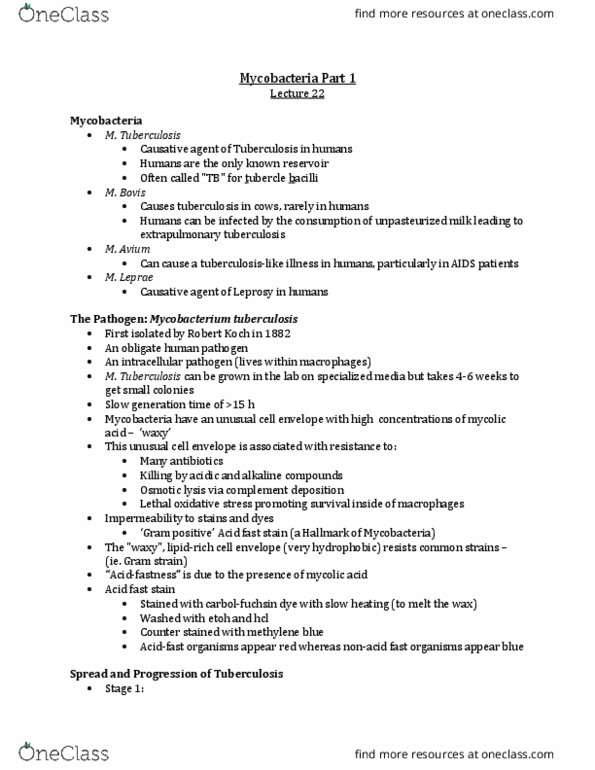 Microbiology and Immunology 2500A/B Lecture Notes - Lecture 22: Mycobacterium Tuberculosis, Methylene Blue, Cell Envelope thumbnail