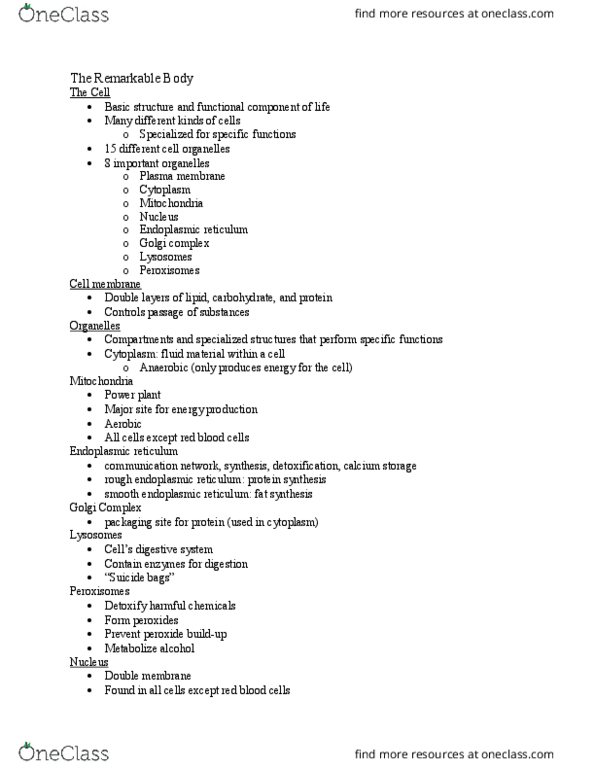 FSN 101 Lecture Notes - Lecture 3: Endoplasmic Reticulum, Pylorus, Salivary Gland thumbnail