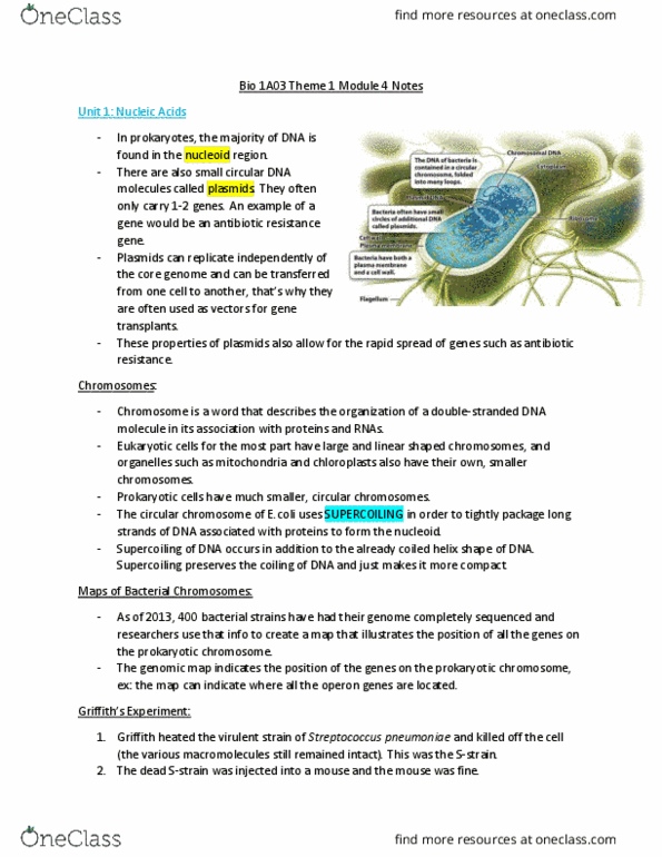 BIOLOGY 1A03 Lecture Notes - Lecture 4: Coiled Coil, Imidazole, Ribosomal Rna thumbnail