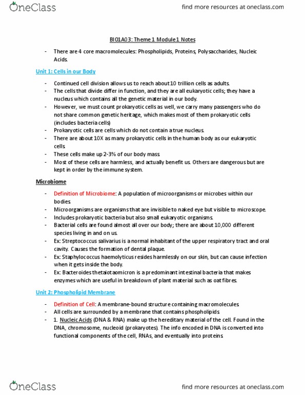 BIOLOGY 1A03 Lecture Notes - Lecture 1: Lipid Bilayer, Lipid Raft, Respiratory Tract thumbnail