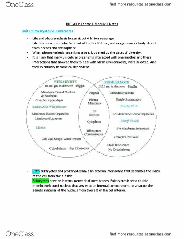 BIOLOGY 1A03 Lecture Notes - Lecture 2: Inner Membrane, Eukaryote, Lynn Margulis thumbnail