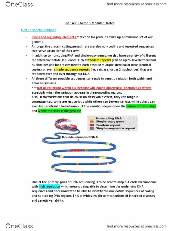 BIOLOGY 1A03 Lecture Notes - Lecture 17: Dna Microarray, Noncoding Dna, Tandem Repeat thumbnail