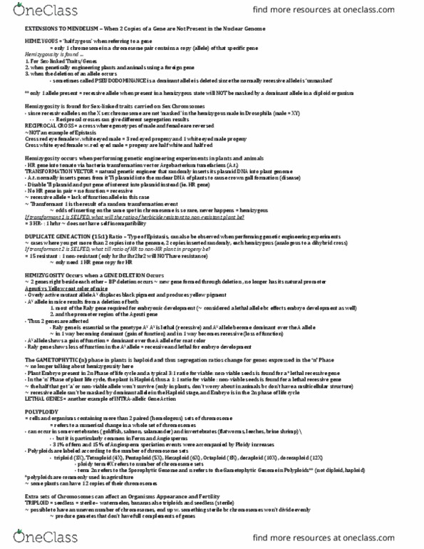 MBG 2400 Lecture Notes - Lecture 4: Lethal Allele, Ti Plasmid, X Chromosome thumbnail