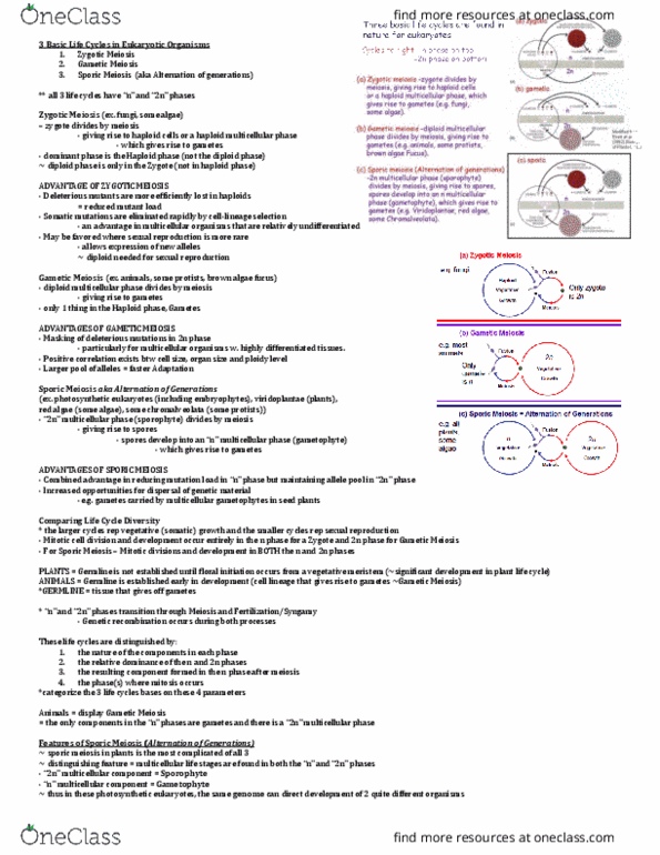 MBG 2400 Lecture Notes - Lecture 1: Red Algae, Genetic Load, Sporophyte thumbnail