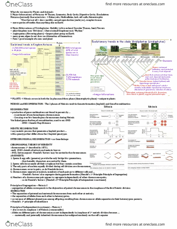 MBG 2400 Lecture Notes - Lecture 2: Non-Vascular Plant, Apomixis, Green Algae thumbnail