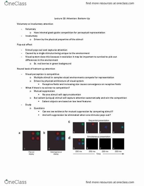 PSYC 4600 Lecture Notes - Lecture 10: Simultaneous Exhibition, Physical Data Model, Visual Perception thumbnail