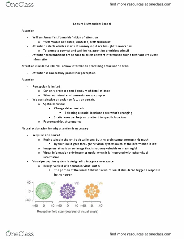 PSYC 4600 Lecture Notes - Lecture 8: Inferior Temporal Gyrus, Prefrontal Cortex, Receptive Field thumbnail