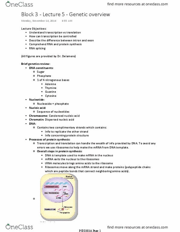 PSIO 303A Lecture Notes - Lecture 35: Nuclear Membrane, Nuclear Pore, Rna Splicing thumbnail