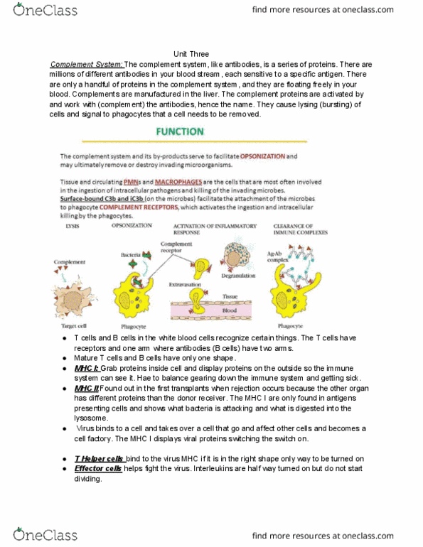 BIOLOGY 120 Lecture Notes - Lecture 11: C3B, Degranulation, Phagocyte thumbnail