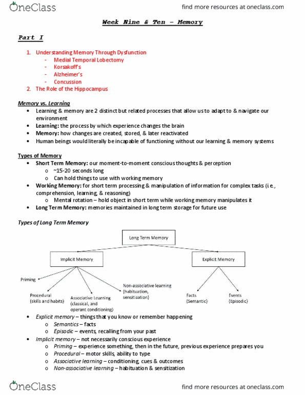 PSYC 271 Lecture Notes - Lecture 10: Anterograde Amnesia, Temporal Lobe, Short-Snouted Seahorse thumbnail