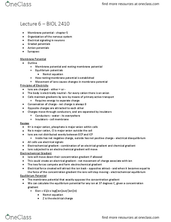 BIOL 2410 Lecture Notes - Lecture 6: Resting Potential, Electrochemical Gradient, Nernst Equation thumbnail