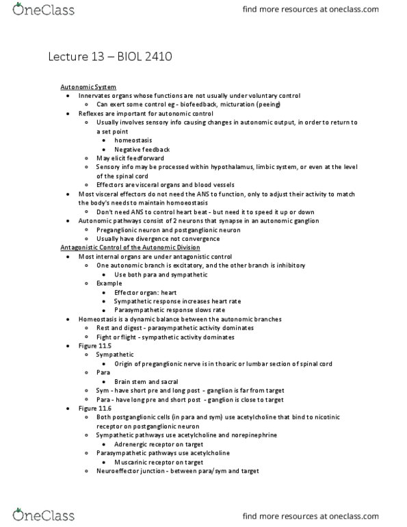 BIOL 2410 Lecture Notes - Lecture 13: Postganglionic Nerve Fibers, Sympathetic Ganglion, Autonomic Ganglion thumbnail