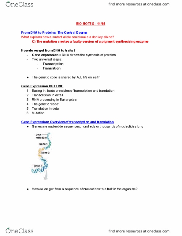 EBIO 1210 Lecture Notes - Lecture 17: Nuclear Membrane, Tata Box, Eukaryote thumbnail