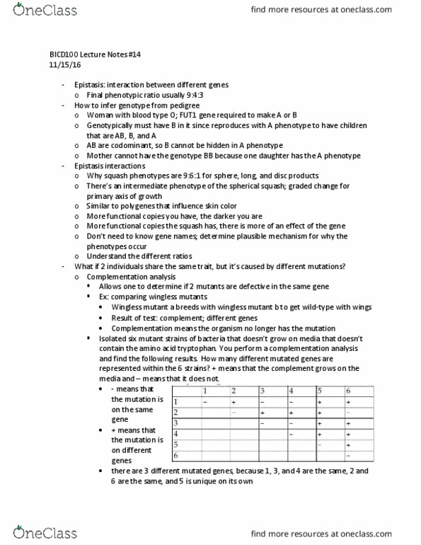 BICD 100 Lecture Notes - Lecture 14: Epistasis, Tryptophan, Genotype thumbnail