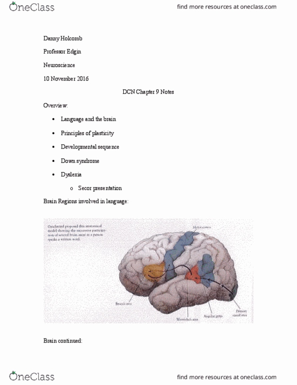 PSY 405 Chapter Notes - Chapter 9: Planum Temporale, Angular Gyrus, Arcuate Fasciculus thumbnail