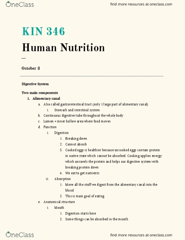 KIN346 Lecture Notes - Lecture 13: Broad Sheet Glass, Lamina Propria, Abdominal Cavity thumbnail