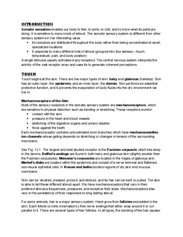 PSYC 3450 Lecture Notes - Lamellar Corpuscle, Postcentral Gyrus, Dorsal Root Ganglion thumbnail