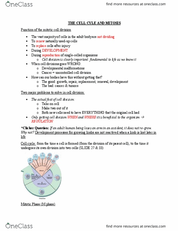 EBIO 1210 Study Guide Fall 2016, Midterm Hydrogen Bond, S Phase