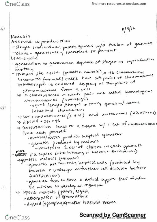 BIO 311C Lecture Notes - Lecture 13: Novella, Chondrostoma, Davoch thumbnail