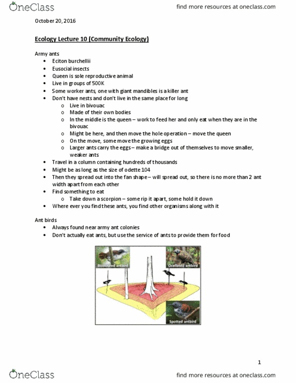 BIOL 2101 Lecture Notes - Lecture 10: Commensalism, Bowerbird, Intermediate Disturbance Hypothesis thumbnail