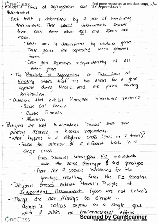 BSC1010C Lecture Notes - Lecture 29: Color Blindness, Dihybrid Cross, Albinism thumbnail