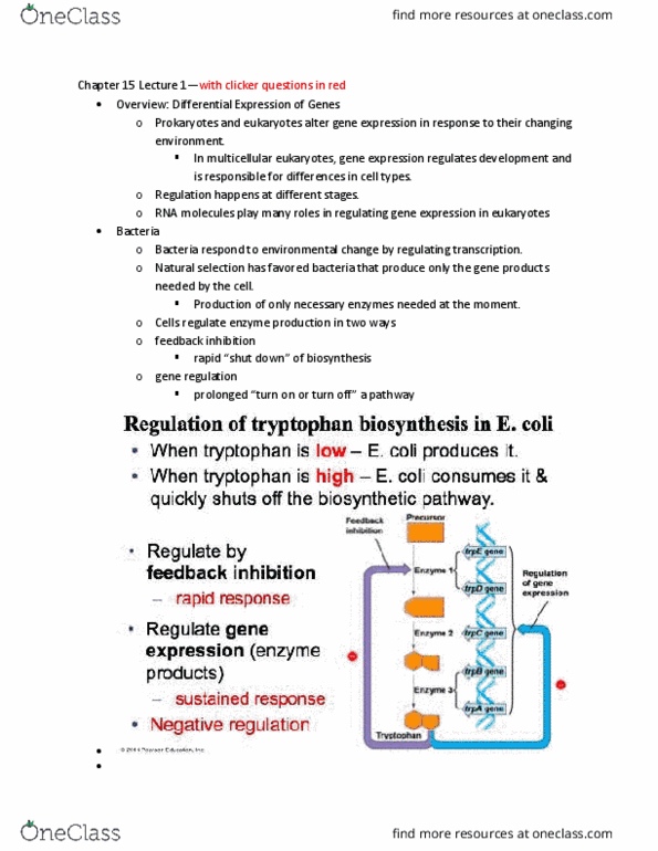 LIFE 120 Lecture Notes - Lecture 35: Cyclic Adenosine Monophosphate, Ion, Allolactose thumbnail