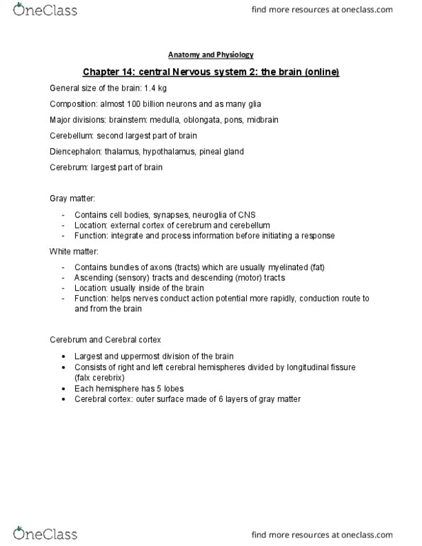 HLSC 1200U Lecture Notes - Lecture 16: Postcentral Gyrus, Precentral Gyrus, Corticobulbar Tract thumbnail