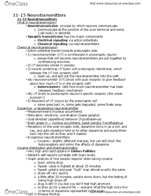 PSYC 110 Lecture Notes - Lecture 21: Monoamine Neurotransmitter, Gordon Ramsey, Olivia Newton-John thumbnail