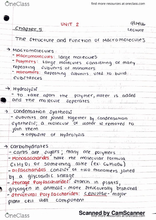 BSC 2010C Lecture Notes - Lecture 7: Collagen, Synthes, Chemical Formula thumbnail