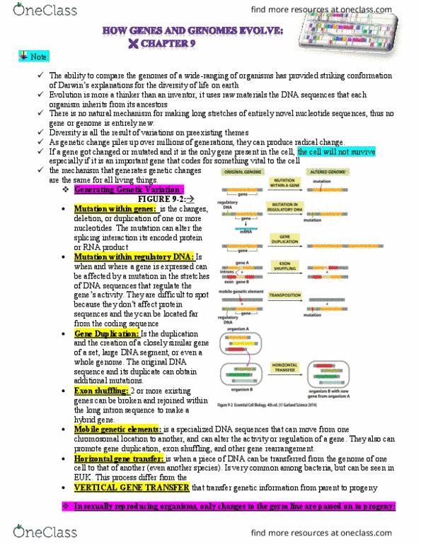 BIL 255 Chapter Notes - Chapter 9: Ciona, Alternative Splicing, Phylogenetic Tree thumbnail