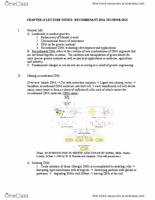 BIL 255 Chapter Notes - Chapter 10: Northern Blot, Electrophoresis, Primary And Secondary Antibodies thumbnail