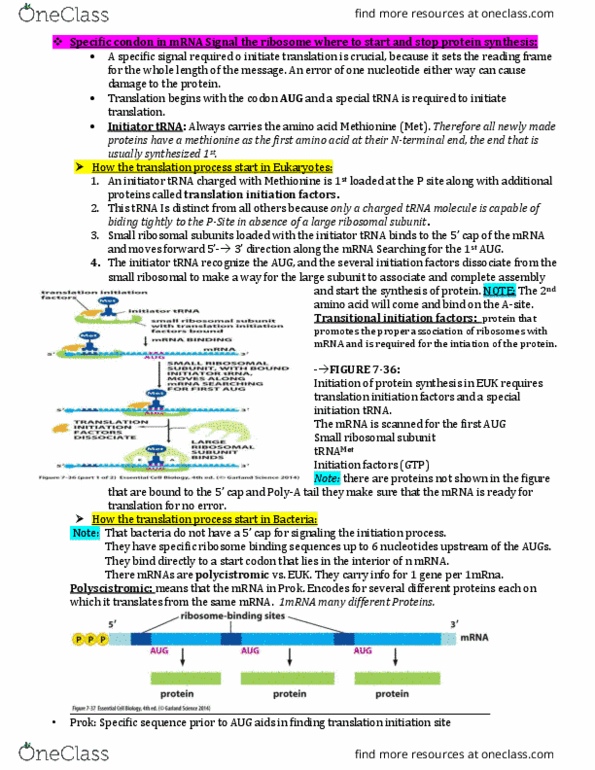 BIL 255 Chapter Notes - Chapter 6: Lysosome, Glycosylation, Ubiquitin Ligase thumbnail