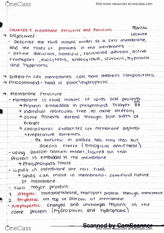 BSC 2010C Lecture Notes - Lecture 10: Osmosis, Video On Demand, James Danielli thumbnail