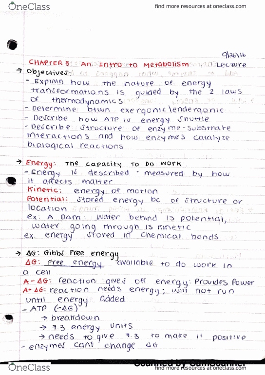 BSC 2010C Lecture Notes - Lecture 12: Bulgarian Lev, Hydrolysis, Activation Energy thumbnail