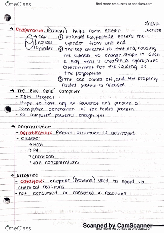 BSC 2010C Lecture Notes - Lecture 8: Lysosome, Vacuole, Flagellum thumbnail