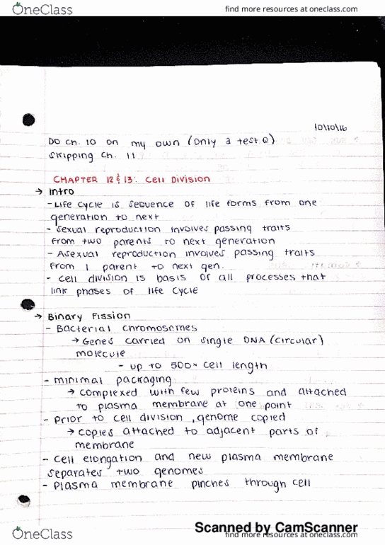 BSC 2010C Lecture Notes - Lecture 15: Chromatin, Nuclear Membrane, Metaphase thumbnail