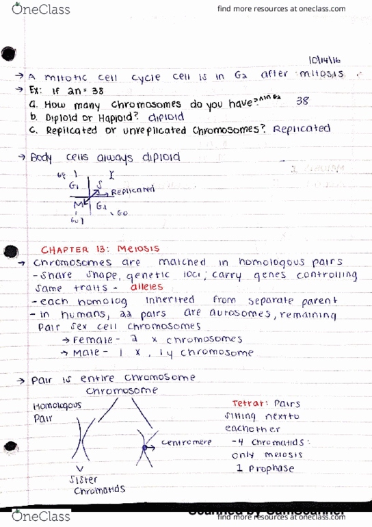 BSC 2010C Lecture Notes - Lecture 17: Nuclear Membrane, Telophase, Hu Hu Hu thumbnail