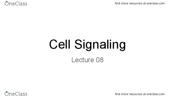 BIO 203 Lecture Notes - Lecture 8: Motor Protein, Substance P, Nitric Oxide thumbnail