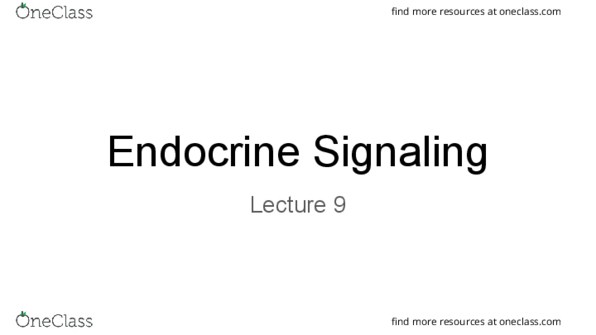 BIO 203 Lecture Notes - Lecture 9: Idiopathic Intracranial Hypertension, Somatostatin, Chromaffin Cell thumbnail