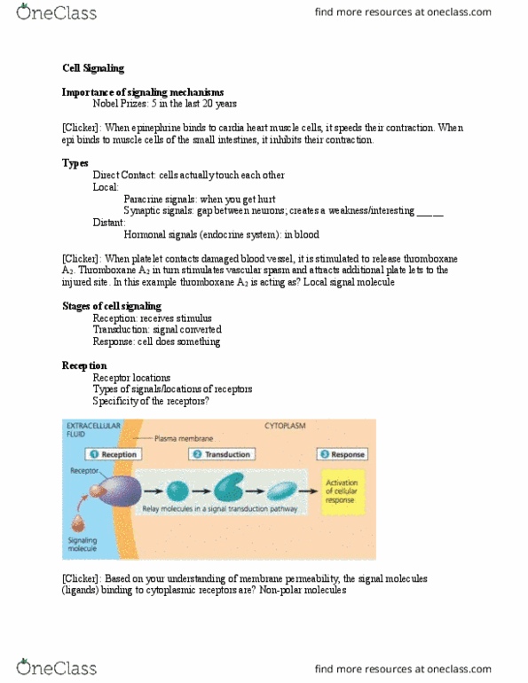 BIOL 1201 Lecture Notes - Lecture 21: Leptin, Receptor Tyrosine Kinase, Signal Transduction thumbnail